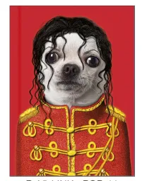 Brulion A5 linia, 96 kartek - Michael Jackson (czerwona)