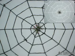 Pająk + biała pajęczyna średnica 150cm