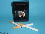 Puszka na papierosy - orzeł
