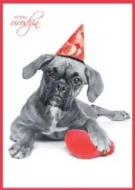 Karnet B6 - W dniu urodzin (pies w czapce)